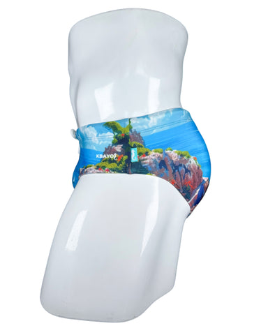 BRAVA TOWN BRIEFS
