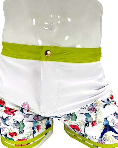 Hummingbirds Shorts